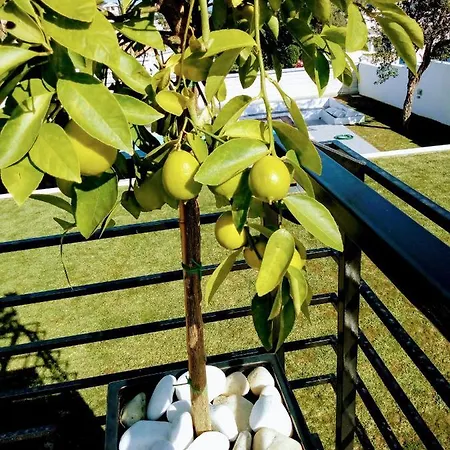 Torreguadiaro - 2 Mins Walk From The Bars And Restaurants Villa San Roque (Andalucia)